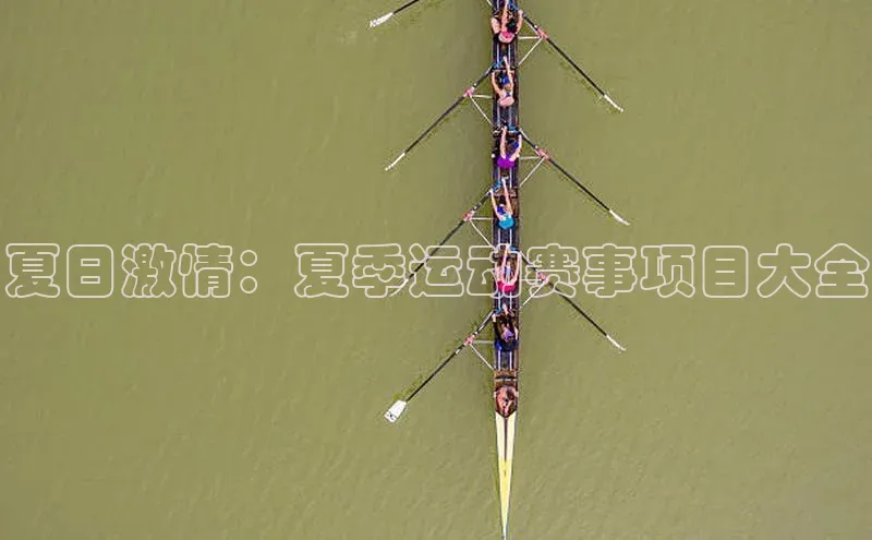夏日激情：夏季运动赛事项目大全