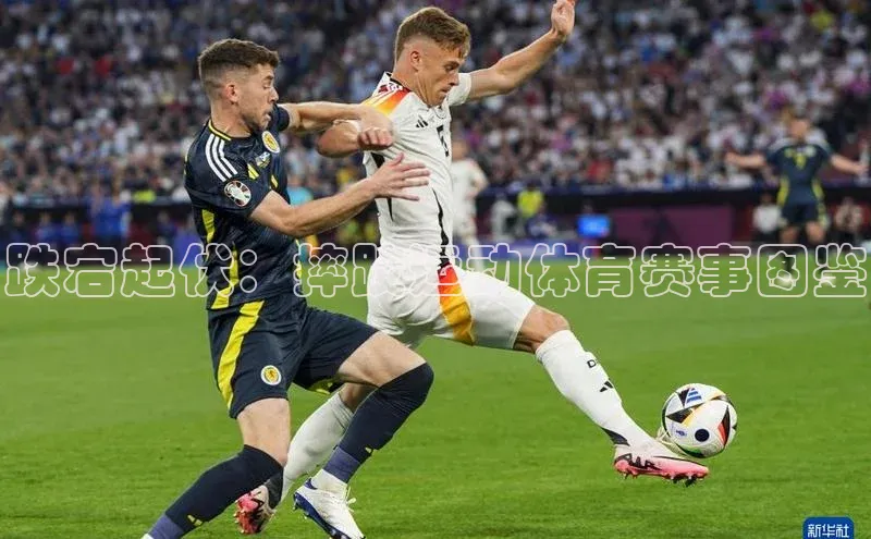 跌宕起伏：摔跤运动体育赛事图鉴