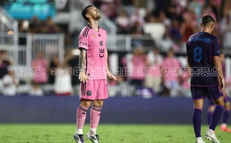 旗飘扬：2023年度世界竖挂国旗运动锦标赛亮点