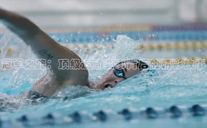 冠军之路：顶级运动赛事背后的精彩故事