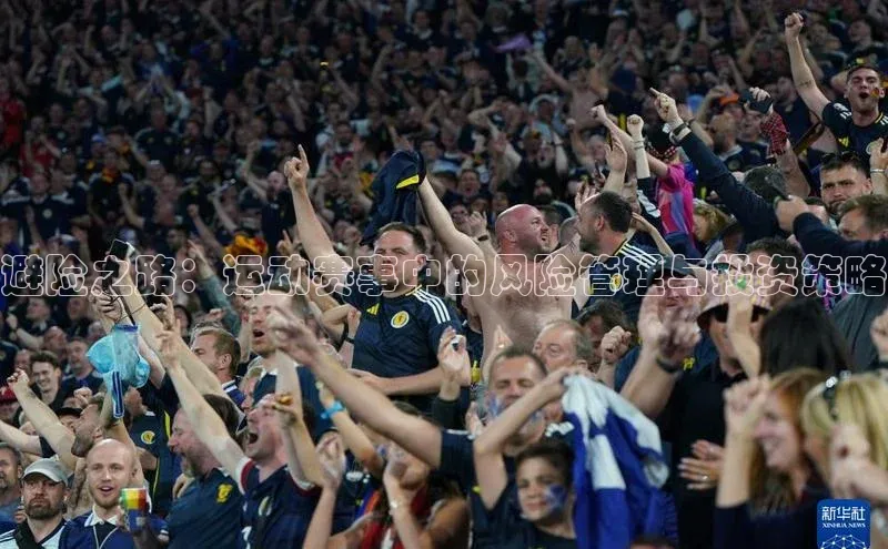 避险之路：运动赛事中的风险管理与投资策略