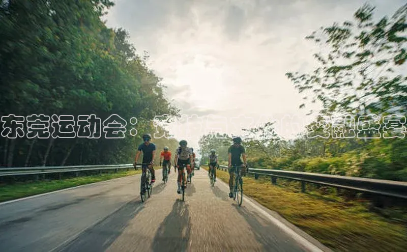 东莞运动会：竞技与文化的交融盛宴