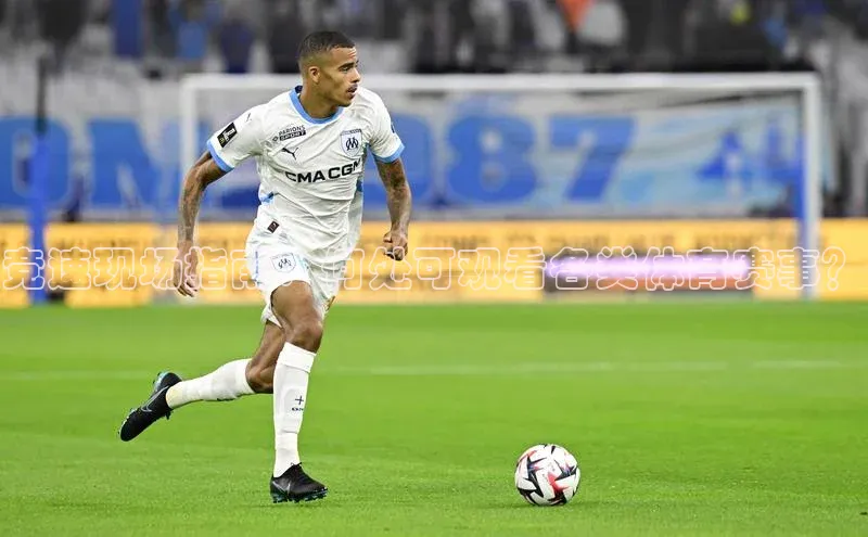 竞速现场指南：何处可观看各类体育赛事？