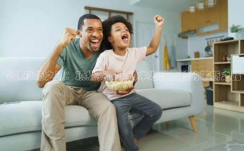 飞跃球场之巅：顶级赛事运动木地板品牌的革新之路