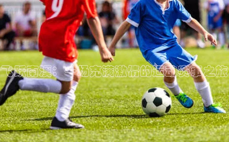 飞跃南溪：一场充满激情的运动赛事之旅