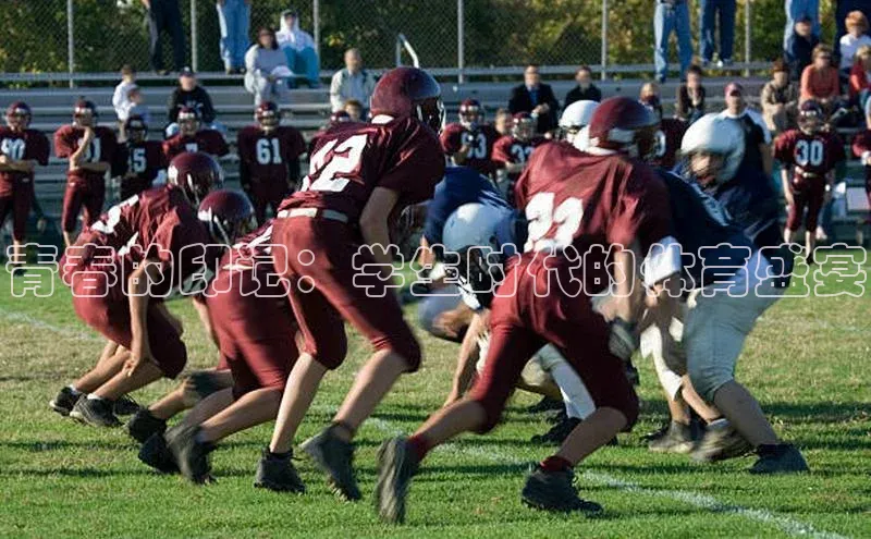 青春的印记：学生时代的体育盛宴
