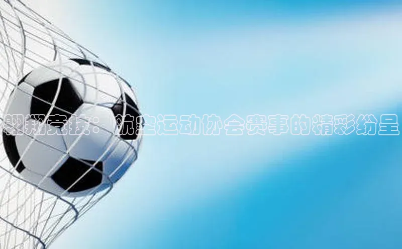 翱翔竞技：航空运动协会赛事的精彩纷呈