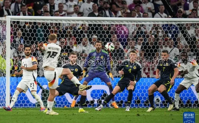 飞跃历史长河：探讨社会运动背后的赛事精神与力量