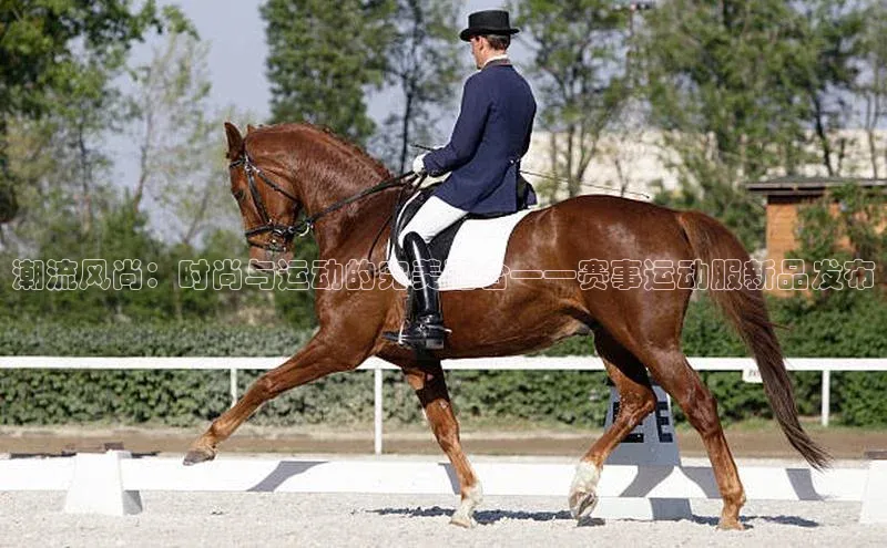 qy球友会app官网